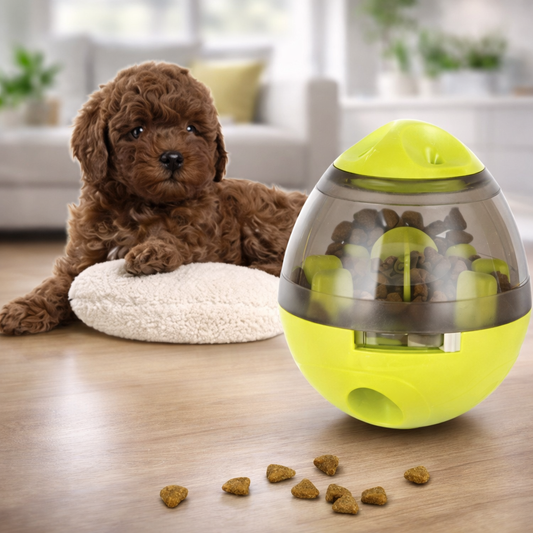 Dispensador de comida para mascota